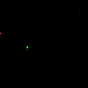 Ando Official Sepatu Sneakers Cute Lion V Anak - Hitam/Merah Jambu