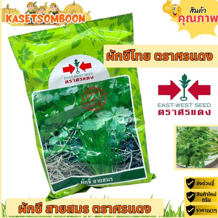 7 อันดับ เมล็ดผักชี ตราศรแดง ยอดนิยมสำหรับปลูกในสวน อัปเดตปี 2025