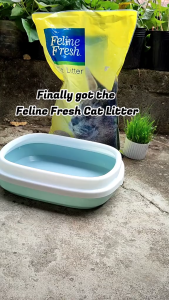 10L Feline Fresh Cat Litter All Stages Adult Kitten Cat Cats Natural Bentonite Fast Clumping