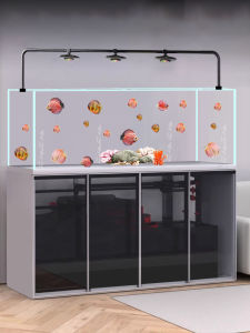 Pipeless Quiet Customizable Large and Medium Aquariums