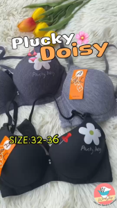 เสื้อชั้นใน AL201 Plucky Doisy มีโครง เสื้อชั้นในผู้หญิง