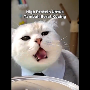 PETOPiA 220g Freeze-Dried Chicken Delight for Cats High-Protein Grain-Free Cat Food Low Fat Shelf-Stable 2-Year Storage