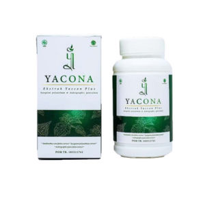 Obat Yacona Herbal Obat Menurunkan Kolestrol Dan Diabetes