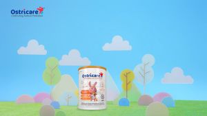 Ostricare Step 3 Growing Up Formula 900g (formulated milk powder with DHA for children 12 year-old & above)