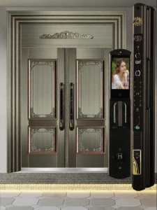 AODENG | Double Intelligent Fingerprint Lock Wooden and Copper Entrance Door