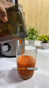 Juicer Extractor Philips 650W Baja tahan karat 500Ml - HR Series HR1867/HR1866 - Blender jus philips