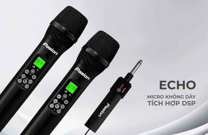 Micro karaoke không dây DSP Paramax Pasion Echo (Dòng micro cực hay, chống hú, tương thích Bose, JBL, Sony)