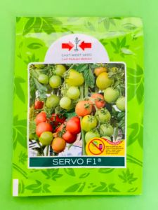 Benih tomat SERVO F1 isi 1750 butir panah merah terbaikk