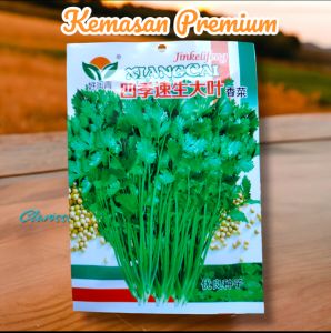 (KEMASAN PREMIUM) BIJI/BENIH TANAMAN CORIANDER | KETUMBAR (isi ratusan butir)