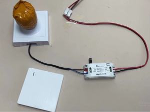 WenQia Wireless Wall Switch and Light Remote Control Switch 10A 110V 220V 230V Relay Receiver Interruptor for Lamp LED Bulb