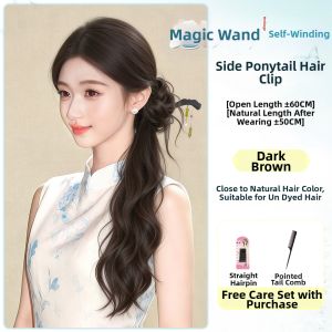 TIANZHEN | Side Braid Chinese Vintage Bun Hairstyle Wig Ponytail Accessories