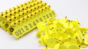 Viddavet 100 Pcs Eartags for pig only Eartag for goat Eartag applicator for cow Eartag for goat set Eartags for pig