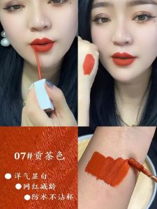 Long-Lasting Waterproof Matte Lip Glaze Tea Color Lipstick Non-Stick Cup Color Enhancing Fading Resistant Velvet Finish Lipstick