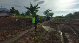 Sprayer Nagasaki Elektrik 16 liter/Tangki Semprot Elektrik Nagasaki/Sprayer Elektrik Nagasaki