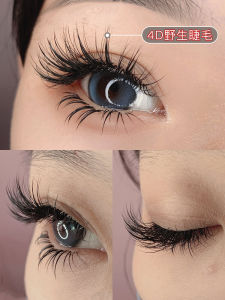 4D Wild Messy Feeling Multi-Level Three-Dimensional Fluffy Grafting Eyelashes Chinese Camellia Single Multiple 3d5d Thai Style