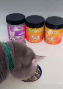 Thức ăn cho Mèo GREENABC - Bột bổ sung đủ dinh dưỡng protein 44.9% canxi 1.33% lipid 20.1% giúp tiêu hóa tốt tăng đề kháng lông mượt - Hộp 200g