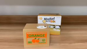 celengan kucing unik