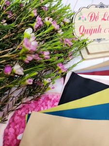 Sét 5 Quần lót su đúc không đường may Size 40 - 65 Kg Thoáng Mát Siêu Mịn (5032_5033)  - Đồ Lót Quỳnh Anh