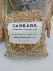 kapulaga 1 kg