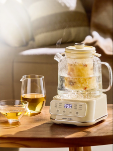 APIXINTL | Glass Multifunctional Kettle Cooker