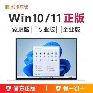 Authentic Win11 Professional Edition USB Flash Drive Win10 Home Version Upgrade Key Activation Code for Portable Storage