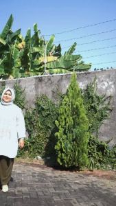 MELIORA SET HIJAB JUMBO LD 140 4XL XXXXL By ENTER / ONESET SETELAN TUNIK CERUTY MOTIF INCLUDE HIJAB SCARF RAMADHAN LEBARAN RAYA EID