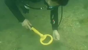 Máy Dò Kim Loại Tìm Kho Báu 2 Trong 1 Pulse Dive 2023 Mới Với Đầu Dò Tròn 60m Để Phát Hiện Dưới Nước