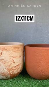 Chậu Đất Nung Hình Trứng Hoa Cúc 2 màu- Kích thước 12x11cm - Trồng Sen Đá - Xương Rồng- LỖI 1 ĐỔI 1