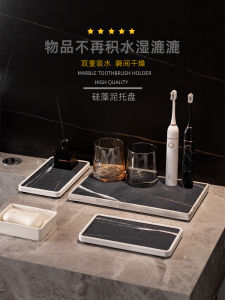 Optimize Your Home with Diatom Ooze Absorbent Trays & More