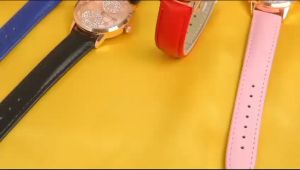 Box Exclusive Jam Tangan Hush Puppies Flower VA-648HR / Jam Tangan Fashion Wanita Tali Kulit Diameter 36 cm