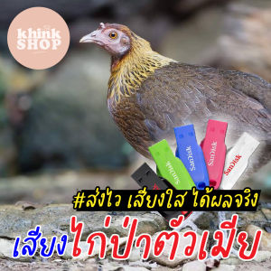 เสียงต่อไก่ป่าตัวเมีย เมมเสียงไก่ป่าตัวเมีย แฟลชไดร์ฟเสียงต่อไก่ป่าตัวเมีย มีเก็บเงินปลายทาง
