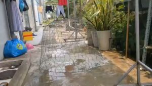 Áo trùm bội gà nòi chống mưa