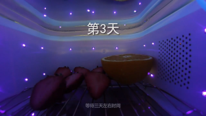 SG【Ready Stock】59 seconds LED ultraviolet Portable UV Sterilizer Multi-Purpose Sterilizer 59s Sanitization Universal for Home & Travel