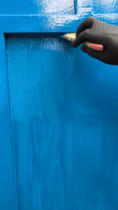 Cat Anti-Karat 2-in-1 Primer + Top Coat PUJATEX Combo