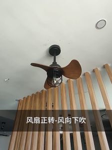 CHAMER 22 Inchs Ceiling Fan With Light Small Ceiling Fan For Bedroom
