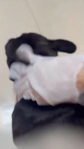 6PCS Pet Grooming Cleaning Gloves For Cat And Dog Tissue Bath Sarung Tangan Pakai Buang Kucing
