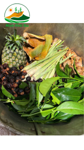 Nước rửa chén thiên nhiên từ quả Bồ Hòn | Làm sạch dầu mỡ kháng khuẩn khử mùi dịu da tay | Sản phẩm hữu cơ | 500ml