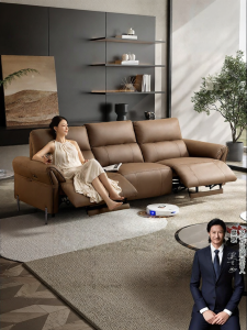 Electric Leather Sofa with Italian Style