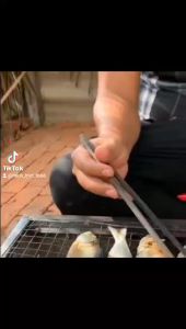 Khô Cá Trích 500GR ngon béo tuỵệt vời.--- ĐẠI NGƯ