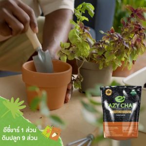 EazyChar อีซี่ชาร์ ถ่านชีวภาพบำรุงดิน ไบโอชาร์ ผสมดินปลูก รองก้นหลุม ไม้กระถาง ไม้ฟอกอากาศ เพาะเมล็ด