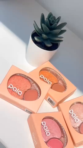 บลัชออน PALA Beauty Ombre Bicolors Powder Blusher บลัชออนฝุ่น เนื้อแป้ง ชิมเมอร์ ปัดแก้ม สีชัด ติดทน