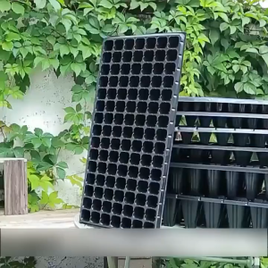 21 32 50 72 104 105 128 200 Holes Seedling Tray Plastic Nursery Tray Bekas Benih Plastic Tray Benih Semaian 育苗盘 育苗