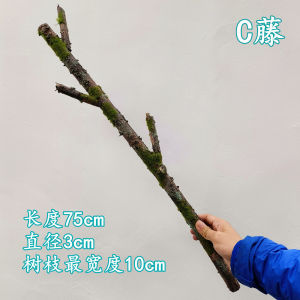 New Simulation Moss Ivy Tree Trunk Branch Indoor Garden Lawn Dried Vine Tree Stump Dry Branch Landscape Vine