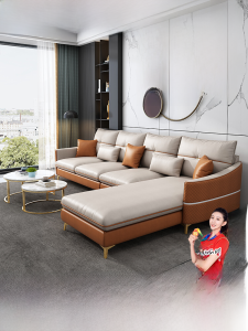 Italian Light Luxury and Simplicity Small Apartment Technology Fabric Sofa Living Room Modern Normcore Corner Concubine Combination Internet Celebrity