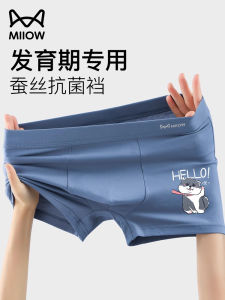 Pure ผ้าฝ้าย ชุดชั้นในชายเอวกลาง การ์ตูน กางเกงบ็อกเซอร์รัดรูป สําหรับนักเรียนมัธยมต้นและมัธยมปลายในช่วงวัย Puberty ขนาดใหญ่ กางเกงขาสั้น