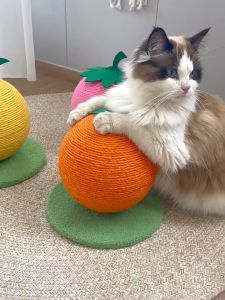 Fruits Strawberry Cat Scratcher - Green Sturdy Base (New Version) - Natural Sisal Rope, Soft Plush - 26cm (L) x 26cm (W) x 23-25cm (H) - Perfect for Scratching and Playtime!
