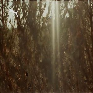 Puma Speedcat Speed Racing รองเท้าแข่งกีฬาลำลองสไตล์เยอรมันฝึกอบรมเย็บย้อนยุคแมทช์ง่ายแฟชั่นผู้หญิง