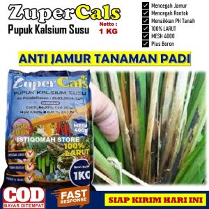 PUPUK OBAT ANTI JAMUR PADI ZUPERCALS 1 KG Obat Pembasmi Jamur pada Tanaman Padi Paling Bagus dan Manjur - Obat Jamur Pada Daun Batang Bulir Buah Tanaman Padi Paling Ampuh - Obat Semprot Tanaman Padi Kena Jamur Terbaik Murah TERLARIS COD