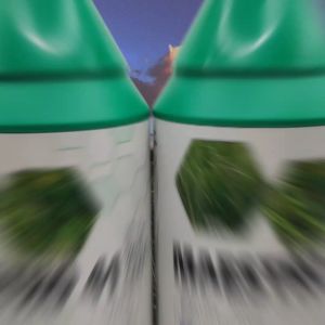 Maestro 41 Glyphosate 41% (sama dengan ecomaxtyphoon) Racun rumput lalang kampung batat mengawal rumpai