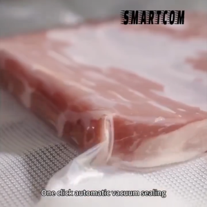Vacum Sealer Alat Vakum Makanan / Alat Vacum Makanan Frozen (Free 10 plastik vacum)